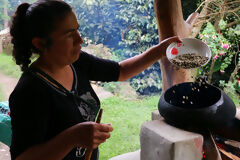 Visita à plantação de café