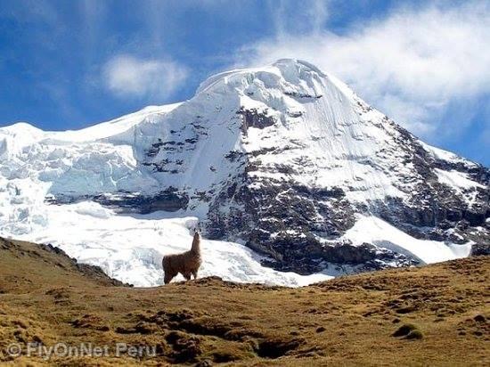 Álbum de fotos: Salcantay