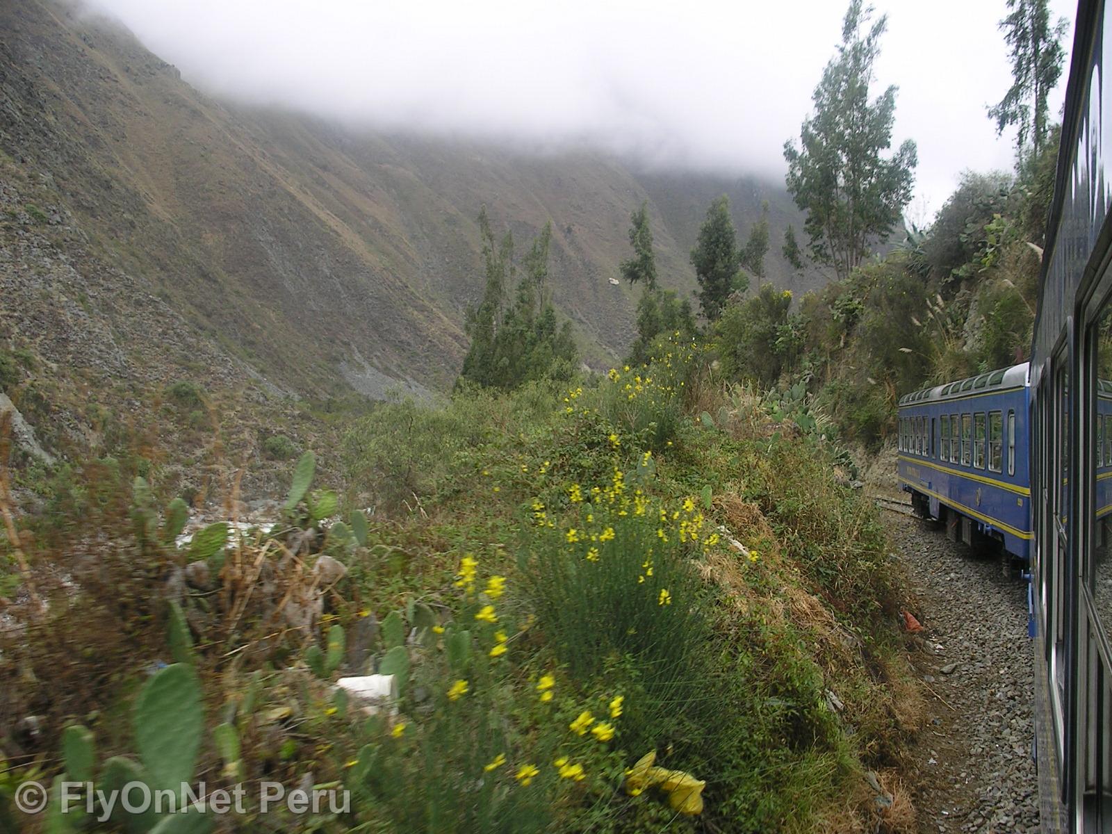Álbum de fotos: Machu Picchu