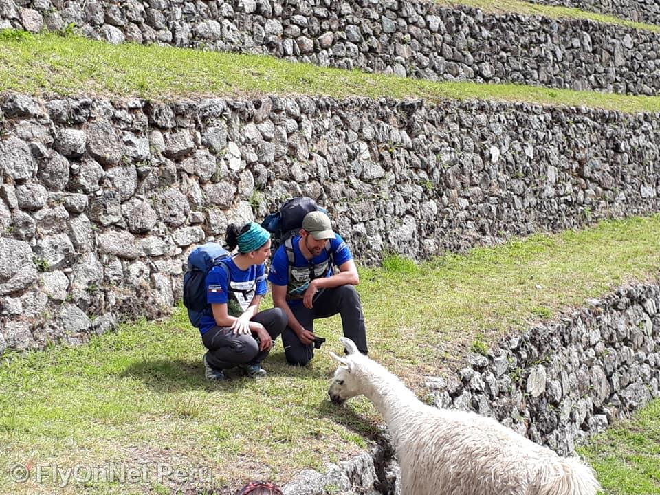 Álbum de fotos: Machu Picchu
