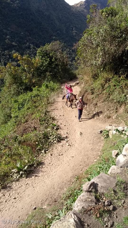 Álbum de fotos: Salcantay