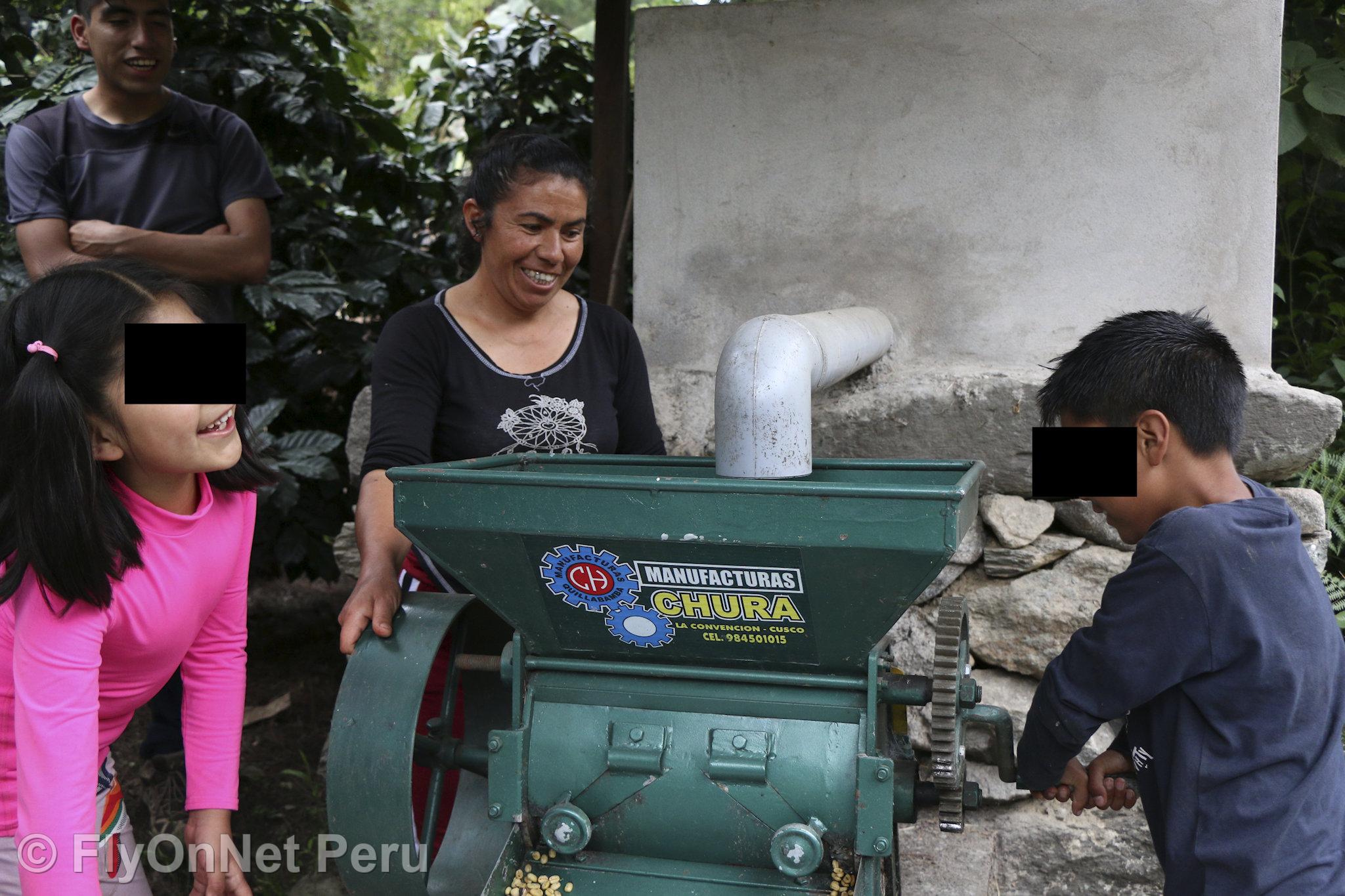 Álbum de fotos: Visita à plantação de café