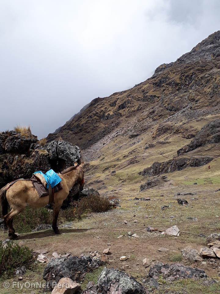 Álbum de fotos: Salcantay