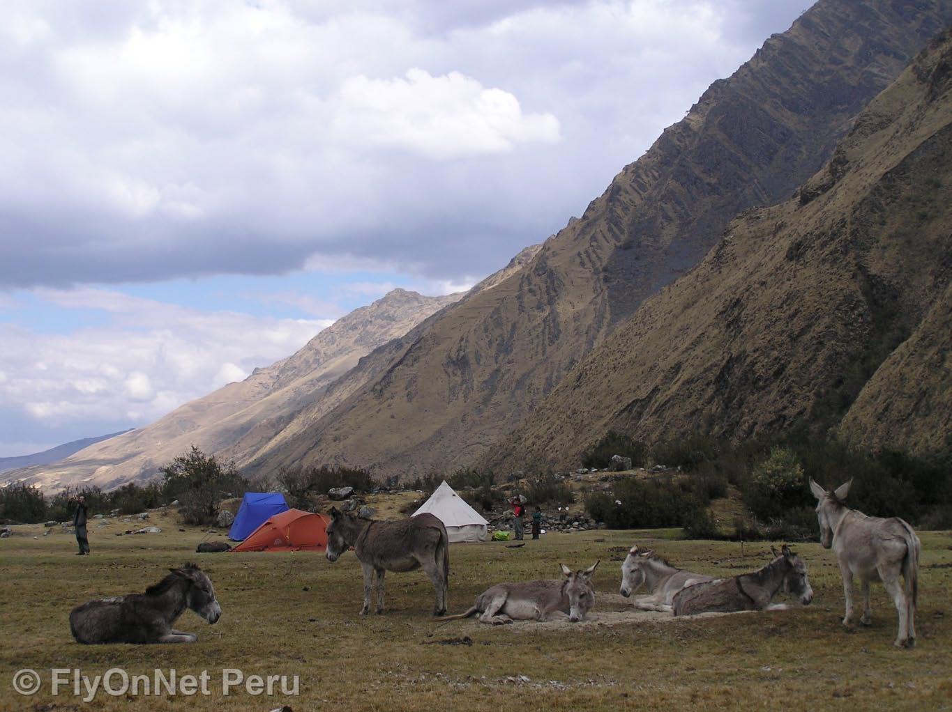 Álbum de fotos: Salcantay