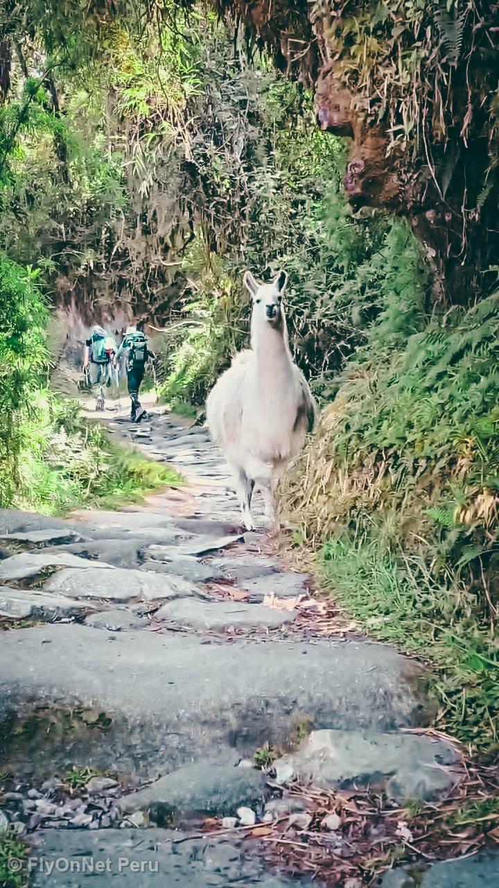 Álbum de fotos: Trilha Inca
