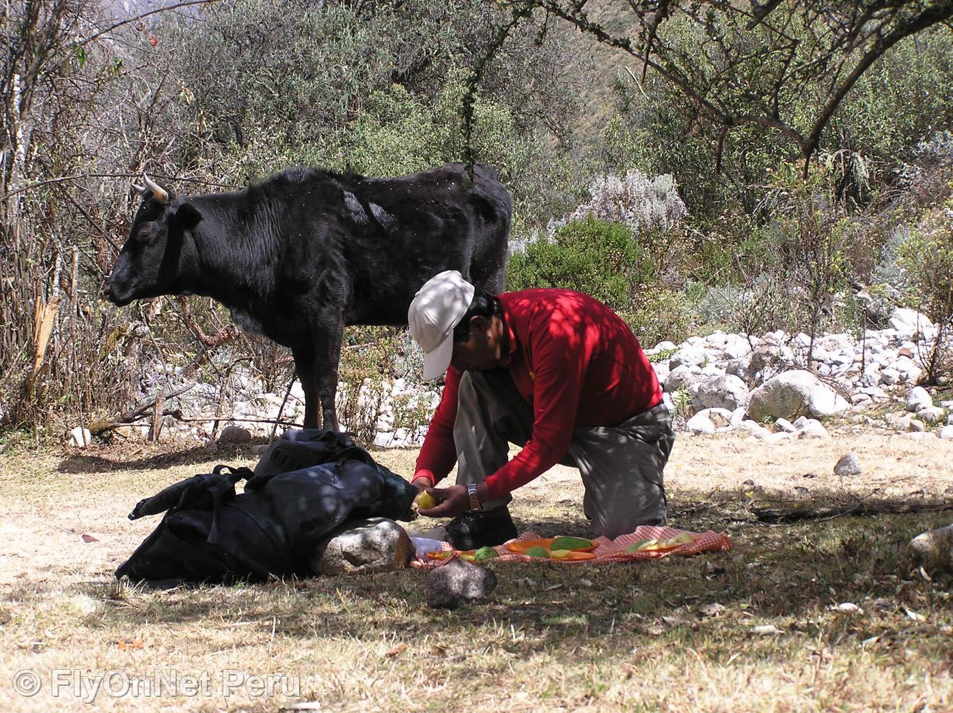 Álbum de fotos: Salcantay