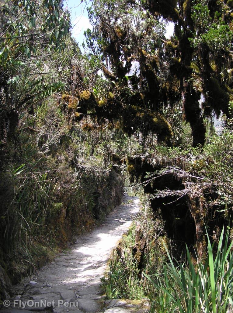 Álbum de fotos: Trilha Inca